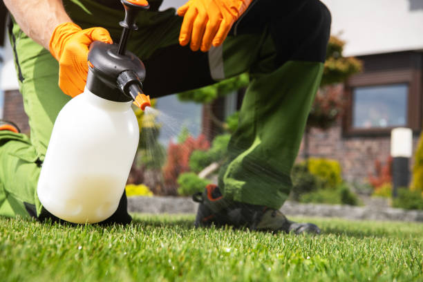 Best Pest Inspection Near Me  in New Paris, IN