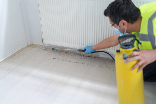 Best Ant Control Services  in New Paris, IN