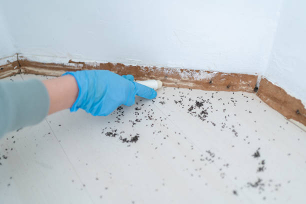 Best Pest Removal Services  in New Paris, IN