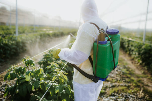 Best Emergency Pest Control  in New Paris, IN